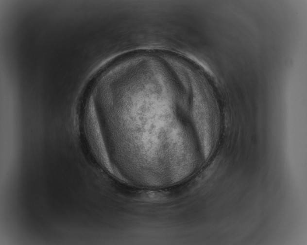 X0000100951311200807151328