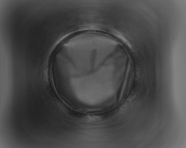 X0000100951312200807151328