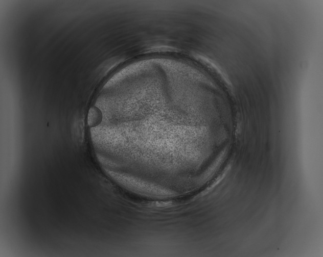 X0000100951313200807151328