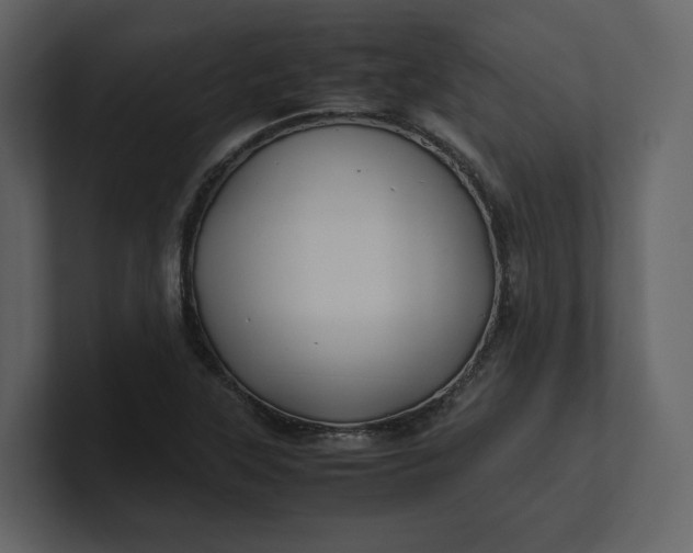 X0000100951315200807151328