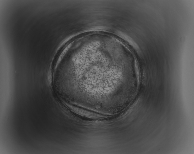 X0000100951316200807151328