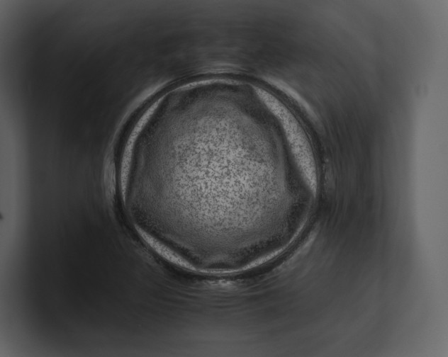 X0000100951317200807151328