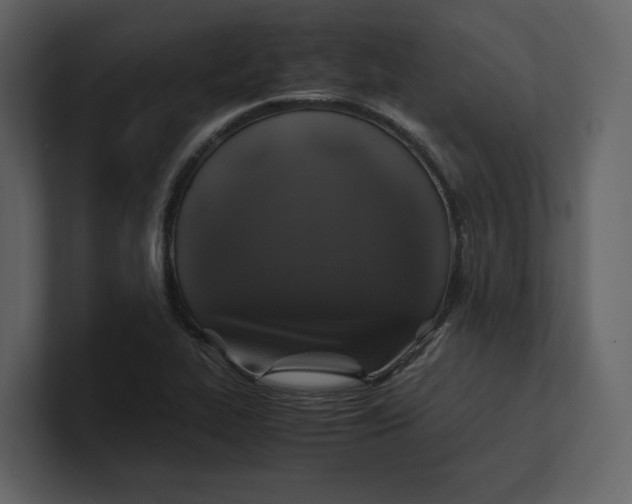 X0000100951319200807151328