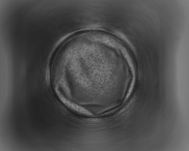 X0000100951320200807151328