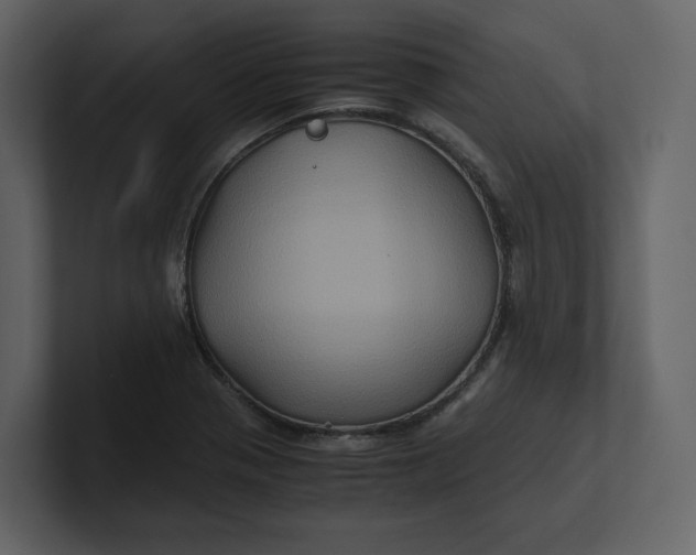 X0000100951321200807151328