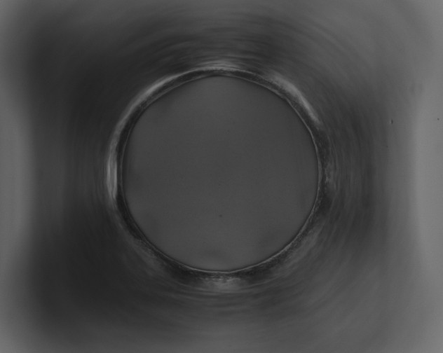 X0000100951323200807151328