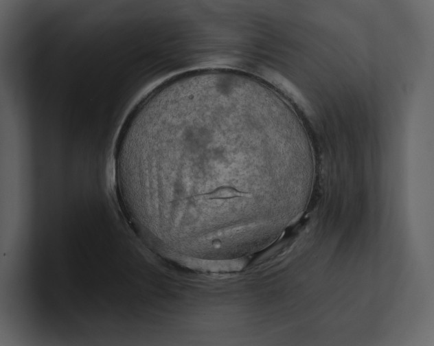 X0000100951324200807151328