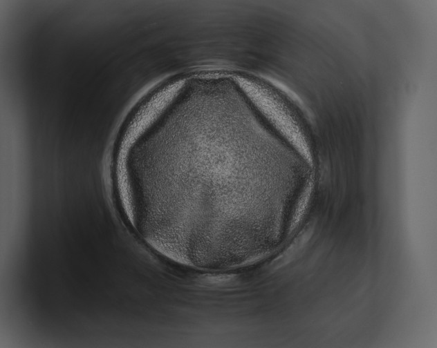 X0000100951325200807151328