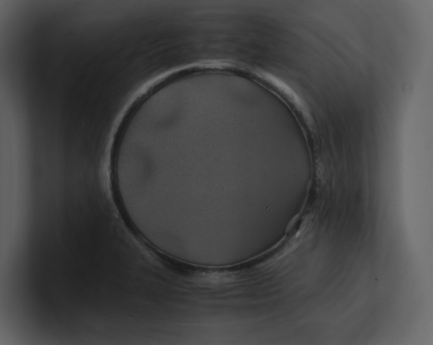 X0000100951327200807151328