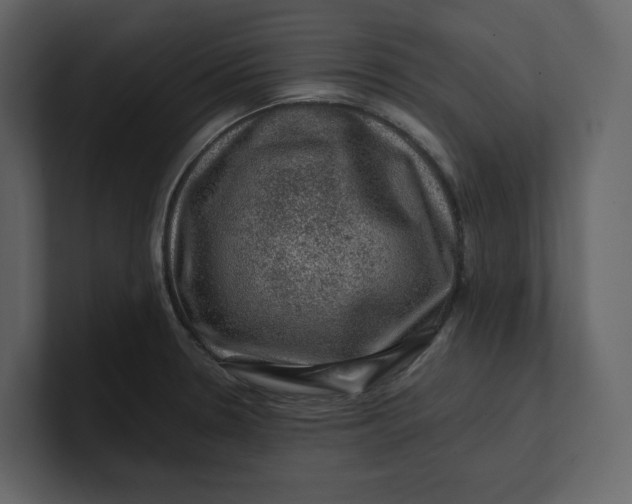 X0000100951330200807151328