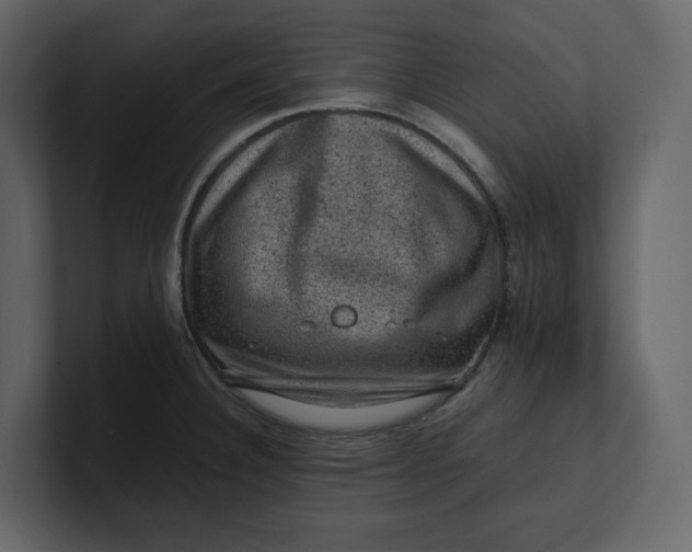 X0000100951332200807151329