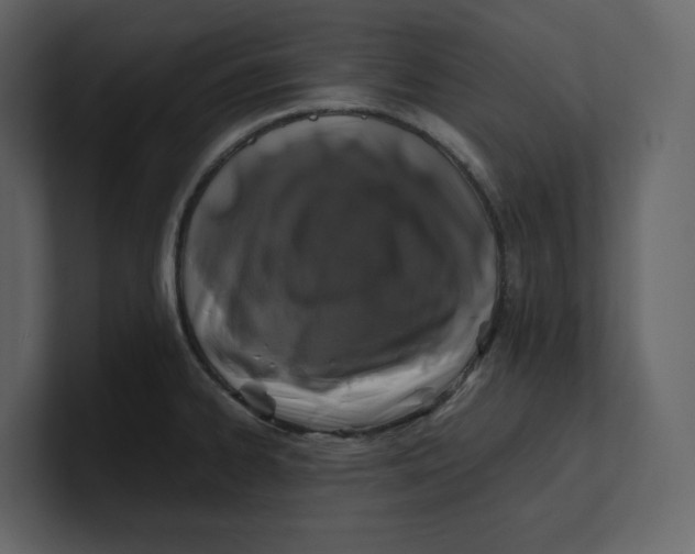 X0000100951334200807151329