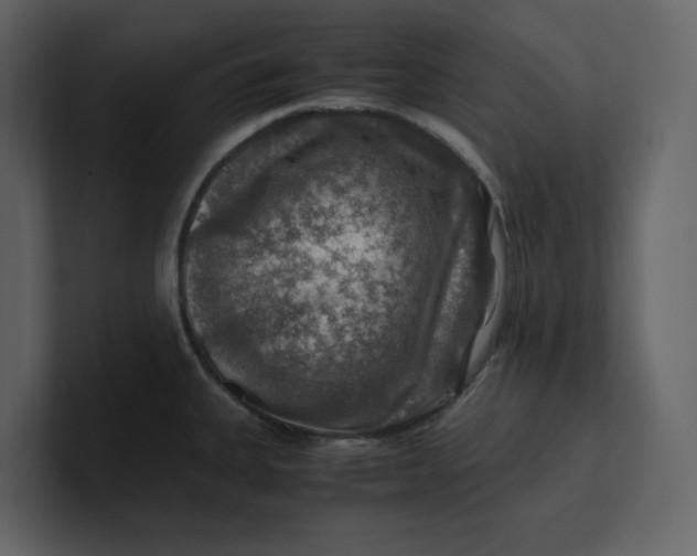 X0000100951335200807151329