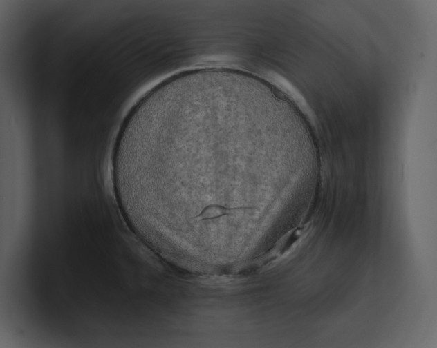 X0000100951336200807151329