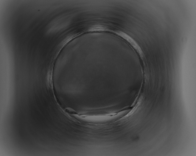 X0000100951337200807151329