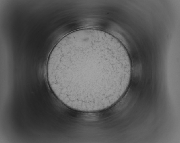 X0000100951338200807151329