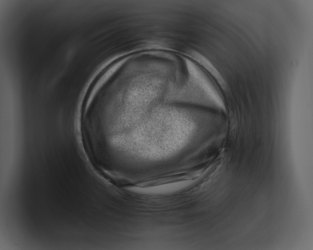 X0000100951339200807151329