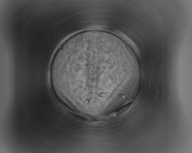 X0000100951340200807151329