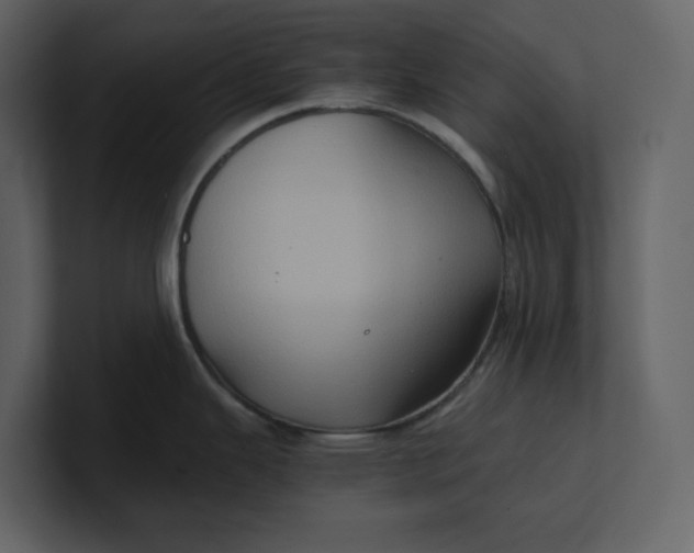 X0000100951343200807151329