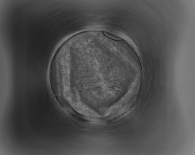 X0000100951344200807151329