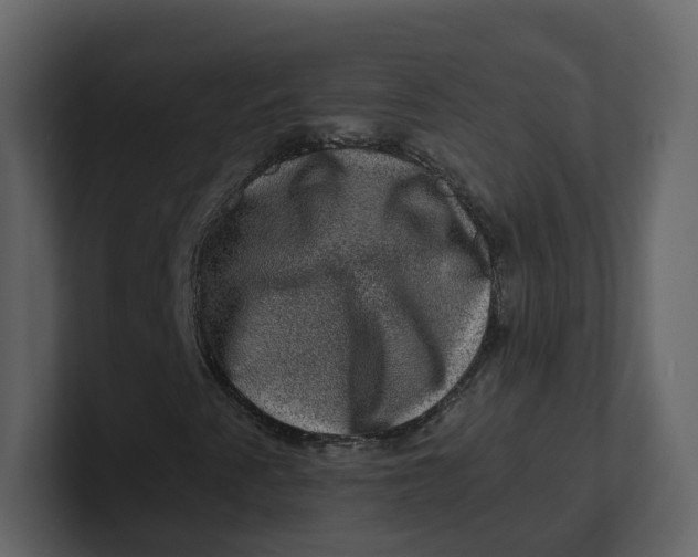 X0000100951345200807151328