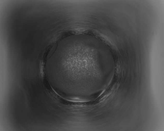 X0000100951346200807151328