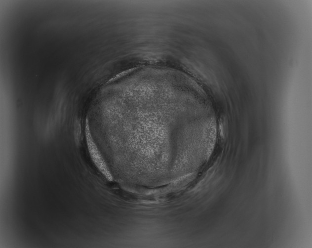 X0000100951347200807151328