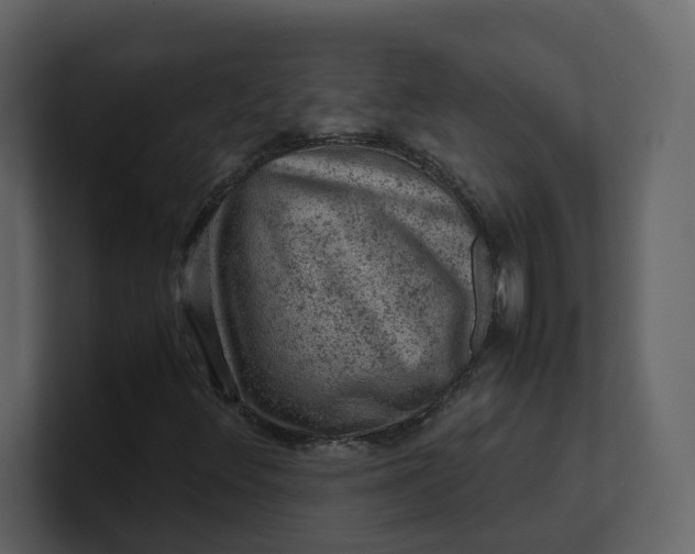 X0000100951348200807151328