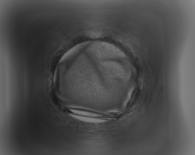 X0000100951349200807151328