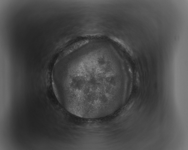 X0000100951350200807151328