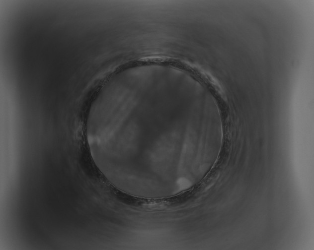 X0000100951351200807151328