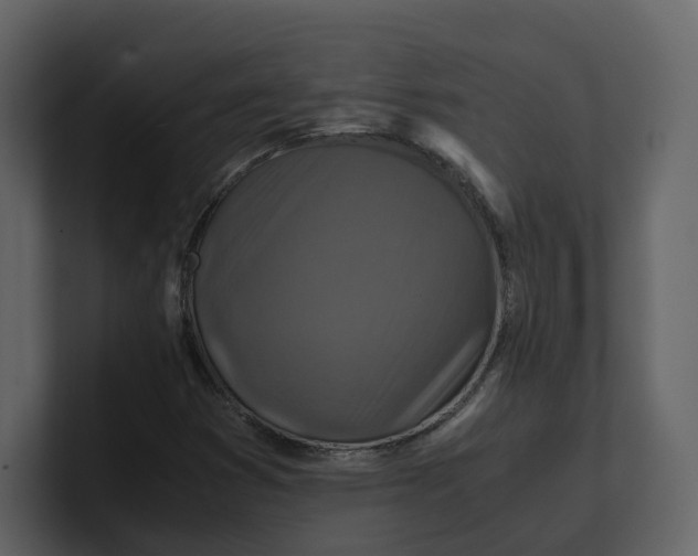 X0000100951353200807151328