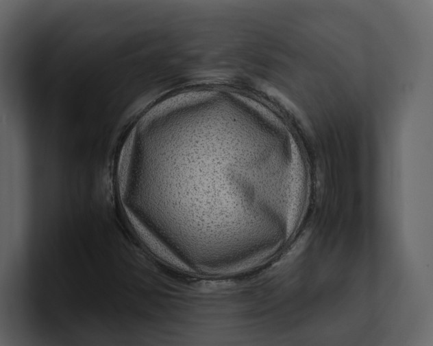 X0000100951354200807151328