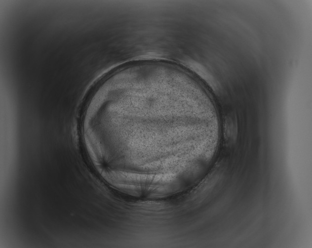 X0000100951356200807151328