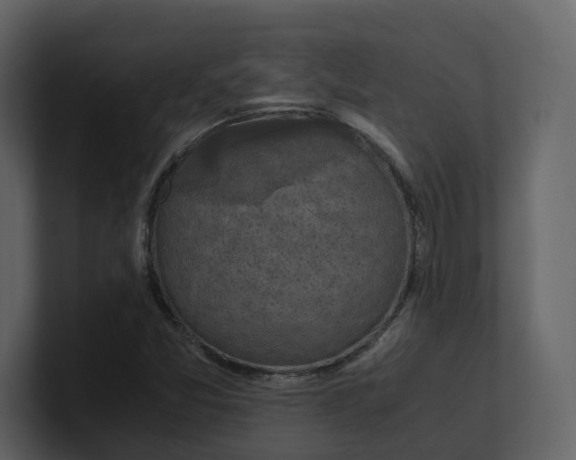 X0000100951357200807151328