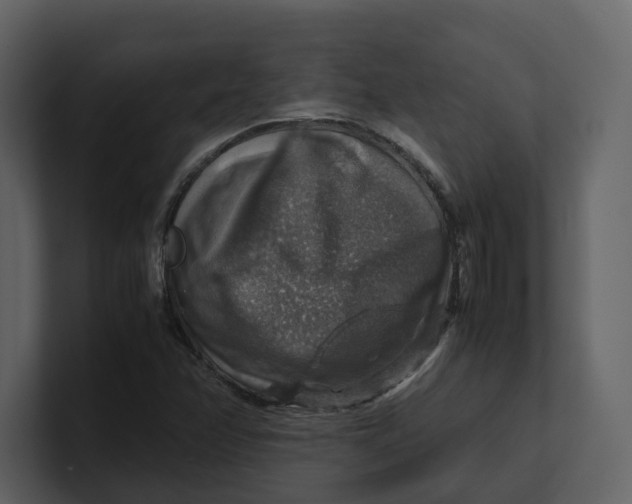 X0000100951358200807151328