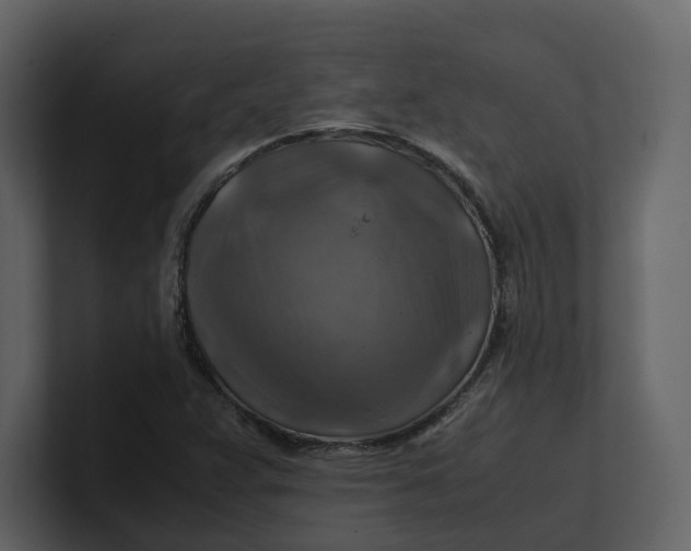 X0000100951359200807151328