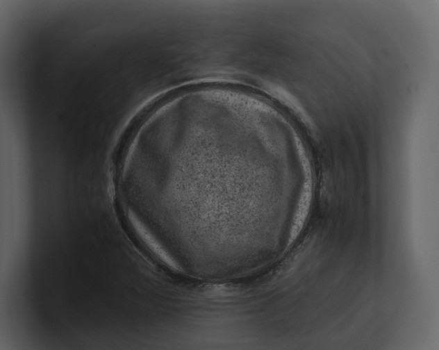 X0000100951360200807151328