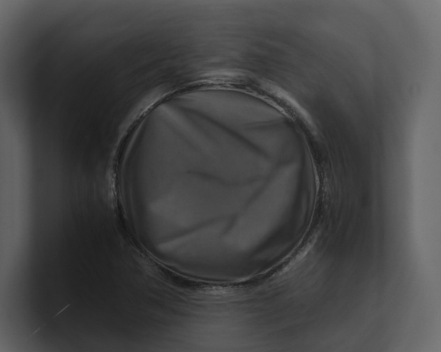 X0000100951362200807151328