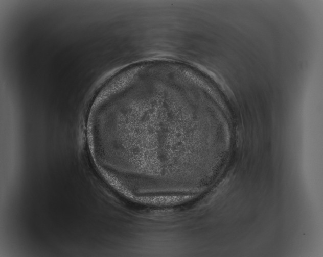 X0000100951363200807151328