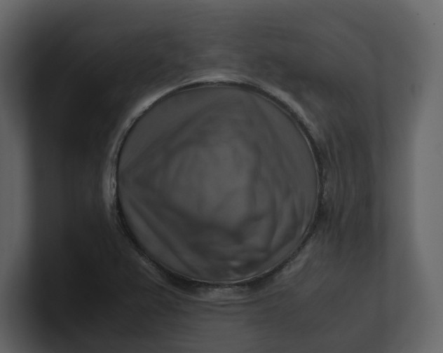 X0000100951367200807151328