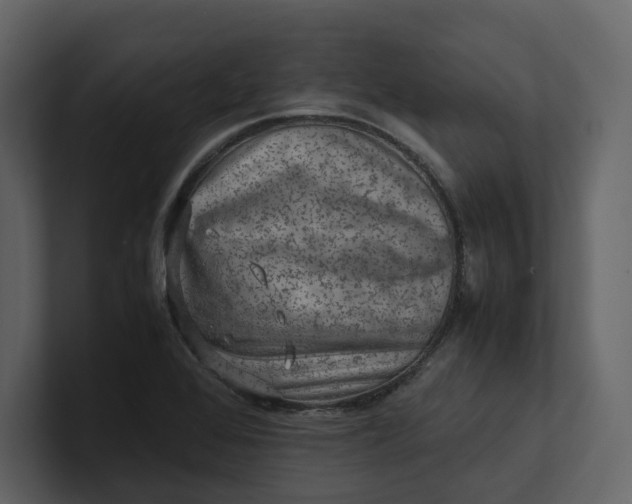 X0000100951368200807151328