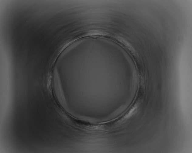 X0000100951369200807151328