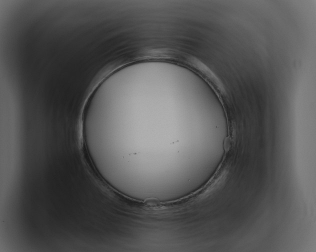 X0000100951370200807151328