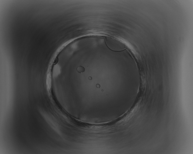 X0000100951371200807151328