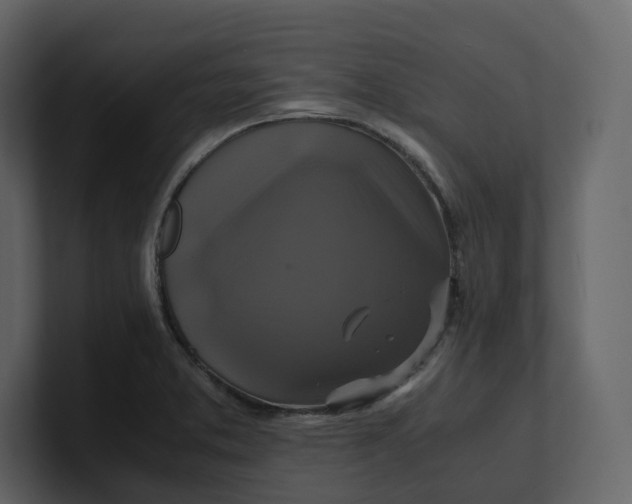 X0000100951373200807151328