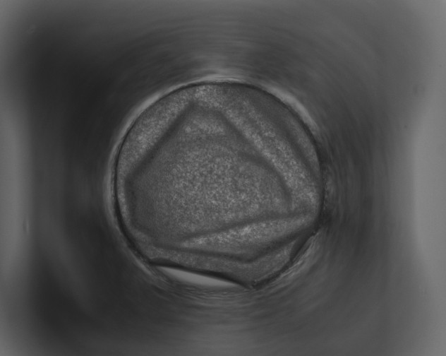 X0000100951375200807151328