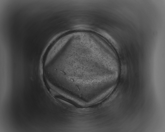 X0000100951376200807151328