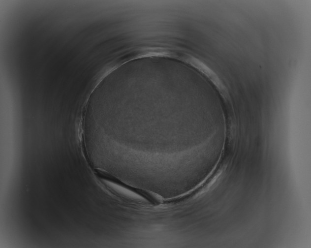 X0000100951377200807151328