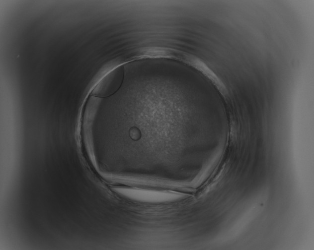 X0000100951378200807151328